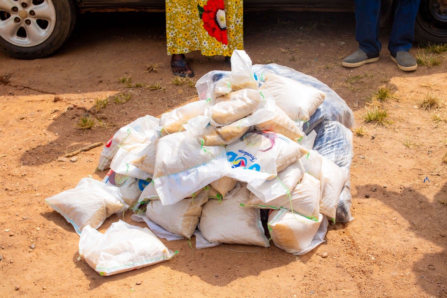 Group photo of all volunteers and seniors